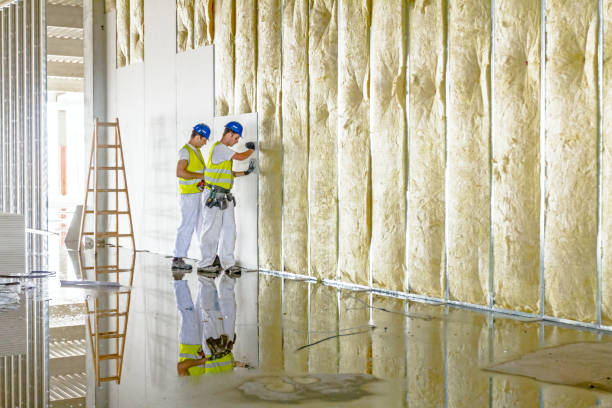 Best Insulation for New Construction  in Hurst, TX